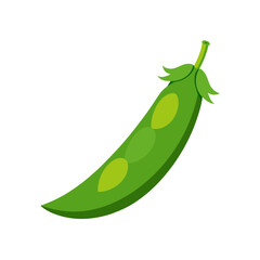 vector clip art peas pod on white background for web and graphic design