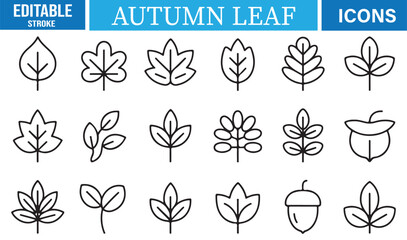 Editable stroke autumn leaf icons featuring fall foliage and botanical elements