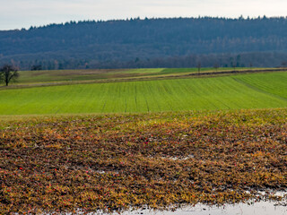 Feuchter Ackerboden nach vielem Regen