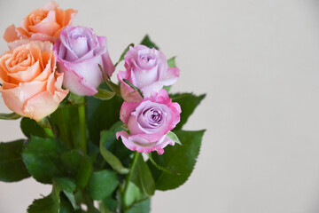 オレンジと紫のばら