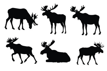 Set of Moose Silhouettes in Different Poses 