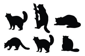 Set of Raccoon Silhouettes in Different Poses
