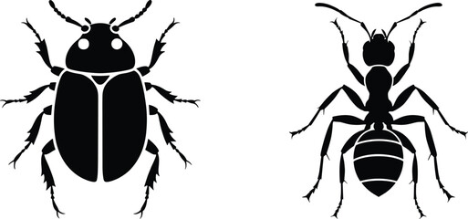 Beetle and ant black silhouette illustration showing insect anatomy shapes for entomology, pest identification, and nature symbol vector design