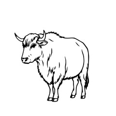 Fototapeta premium Black line art yak vector, simple and clean, perfect for coloring books, educational materials, farm, and wildlife designs.