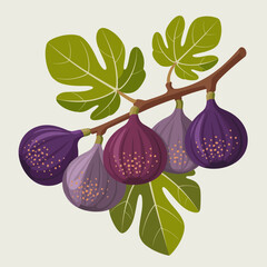 This delightful illustration features a branch of ripe figs nestled among bright green leaves, celebrating the richness of nature and the allure of fresh produce.