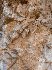 High-resolution close-up of natural soil and sand ground texture. This earthy background shows a rough, granular surface with organic tones,