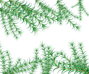 seamless pattern with fir branches © mr