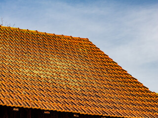 Viel Moos auf einem feuchten und alten Dach