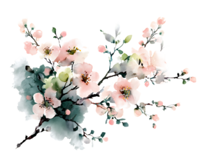 Pink flowers and green leaves on a branch isolated on a transparent background watercolor floral