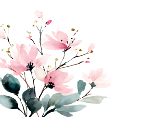 Pink flowers with green leaves and gold accents isolated on a transparent background watercolor floral