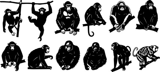 Monkey Silhouette Collection &ndash; Primate Poses Black Vector Set