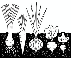 A vibrant illustration depicting various vegetables like leeks, carrots, and radishes growing in soil, showcasing their roots and leafy greens above the ground.