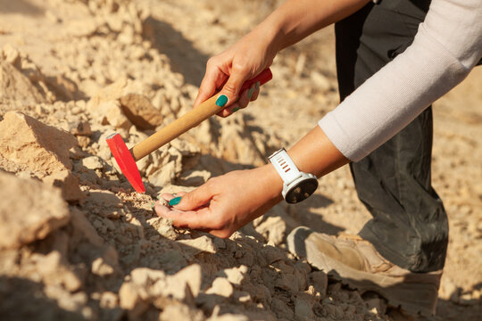 A close-up shot shows a geologist or fossil hunter using a rock hammer to carefully chip away at sedimentary rocks, examining a small, dark specimen found embedded in the arid, dusty terrain.