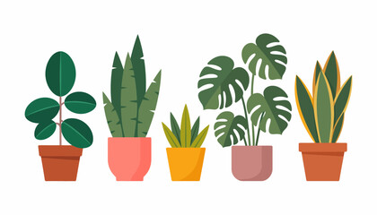 This image presents a charming collection of various indoor plants in stylish pots, embodying a sense of nature, tranquility, and freshness in modern home decor. © Miao