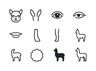 Fototapeta premium Alpaca Anatomy Icons. Alpaca anatomy. Line icon set of Alpaca an