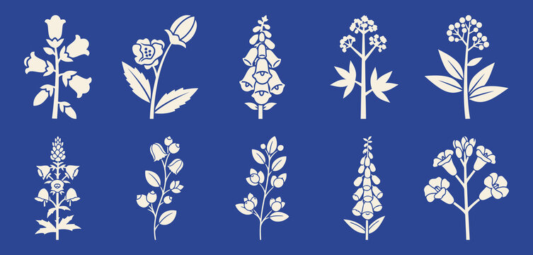 Toxic Garden Plants Wolfsbane Belladonna Foxglove Hemlock Oleander Castor Bean Blue Background