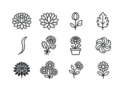 Chrysanthemum Icon Set. Chrysanthemum. Line icon set of Chrysant