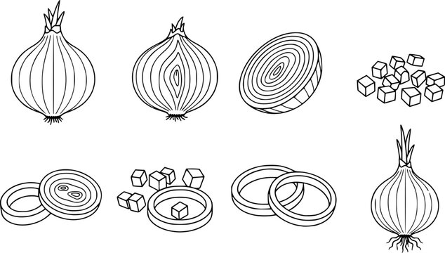 set of Onion Icon Set. Outline icon set of onion parts and forms: whole onion, sliced onion, chopped onion, onion rings, onion bulb,
