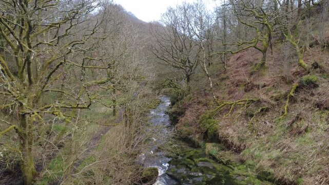 Colden water in the colden valley near hebden bridge in winter showing a stream flowing over rocks in a steep wooded valley