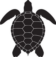 Black and white of a sea turtle with detailed shell pattern and flippers © Raihan