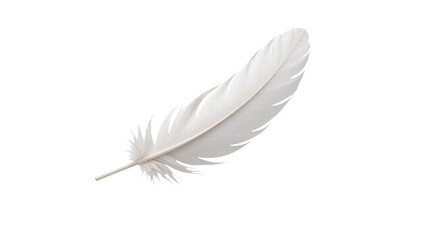 A single white feather on a clean white surface. transparent background