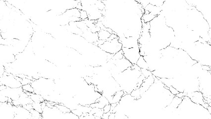 Marble Texture Pattern with Gray Veining Design