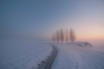 Obraz premium Misty winter sunrise over snowy field with row of bare trees, winding canal and pastel blue and pink dawn sky