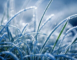 Ultra Detailed Macro View of Delicate White Frost Crystals Forming Feather-Like Ice Textures in a Minimalist Winter Background