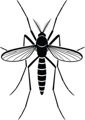 Black and white illustration of a mosquito on white background isolated on white background