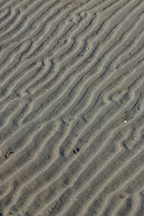 This is a high-angle, close-up photograph of dark, damp beach sand marked by parallel, wavy ripples from the water. The rhythmic ridges and troughs run diagonally across the frame, creating a strong p