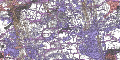 Light Multicolor vector pattern with wry lines. Tall trees under snow cover. tree with green leaves and pink flowers, cercis siliquastrum, commonly called the tree of love, growing in urban areas.