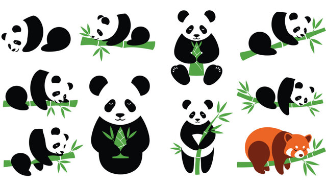 Large collection of cute panda and red panda illustrations in various poses, such as sleeping, sitting, and eating bamboo leaves.