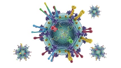 Detailed digital rendering of virus cell with DNA strands and capsid spikes