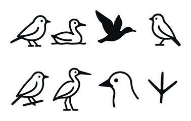 Silhouette icons of various birds on dark background