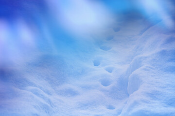 Fototapeta premium Winter landscape with snow. Snow texture with perspective. Winter snowy landscape.