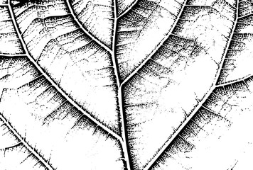 Black abstract background with subtle texture and gradients