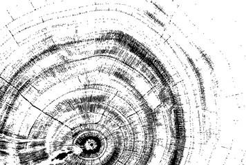 Empty black background with transparent elements and space for text