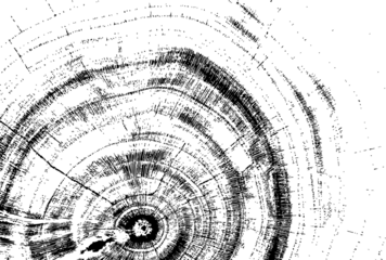 Empty black background with transparent elements and space for text