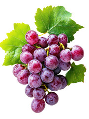 Fototapeta premium Fresh bunch of purple grapes with vine and green leaves on transparent background