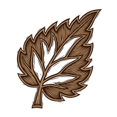 Detailed illustration of a single brown leaf with intricate vein patterns.