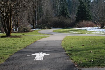 Outdoor scene of a winding asphalt path with a white arrow, surrounded by green grass and trees
