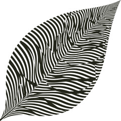 Abstract Black and White Leaf Pattern Design.