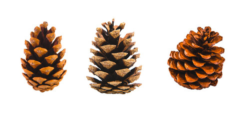 set of cone sisolated on transparent