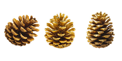 set of golden pine cones isolated on transparent background