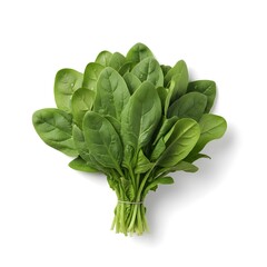fresh spinach leaves tied together
