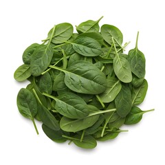 fresh spinach leaves on white background