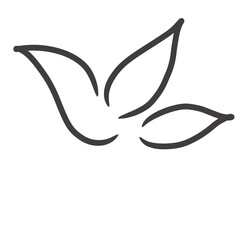 Ash Icon illustration hand-drawn art