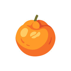 Sweet clementine, fruit icon, isolated flat style vector illustration
