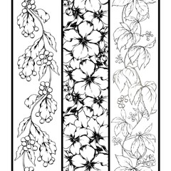 Graphic black and white borders set