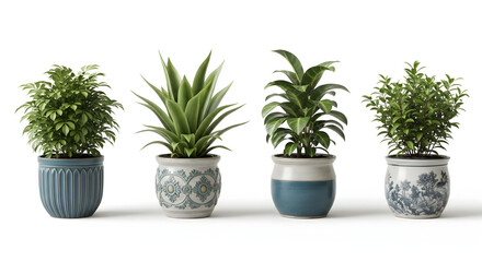 Fototapeta premium Potted Plant Array: An assortment of vibrant, potted houseplants create a delightful display. Each plant boasts unique foliage.